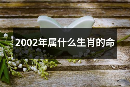 2002年属什么生肖的命