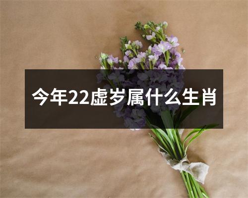 今年22虚岁属什么生肖