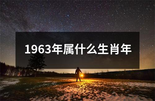 1963年属什么生肖年