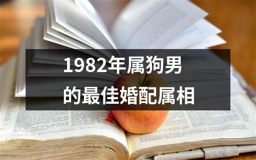 1982年属狗男的最佳婚配属相