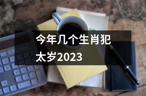 今年几个生肖犯太岁2023