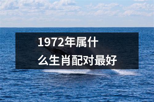 1972年属什么生肖配对最好