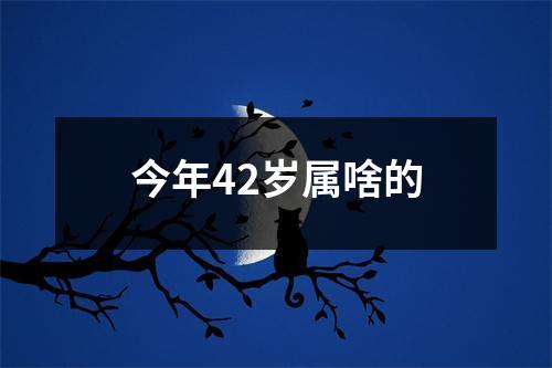 今年42岁属啥的