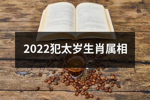 2022犯太岁生肖属相