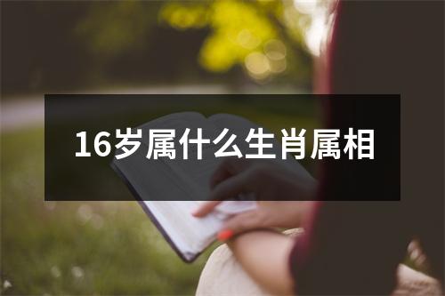 16岁属什么生肖属相