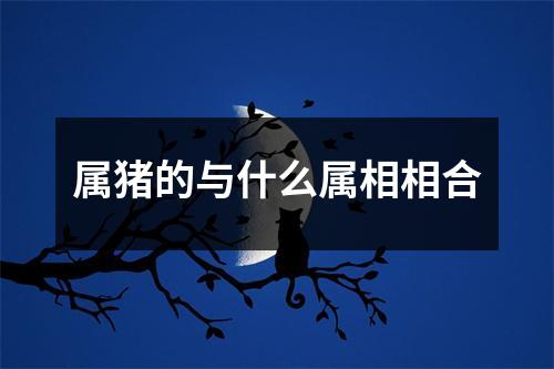 属猪的与什么属相相合