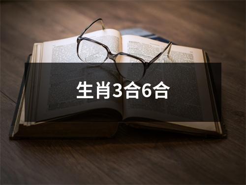 生肖3合6合