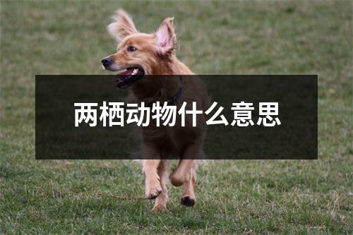 两栖动物什么意思