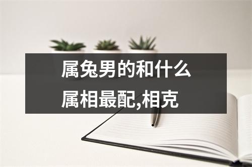 属兔男的和什么属相最配,相克