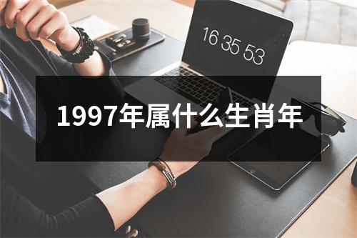 1997年属什么生肖年