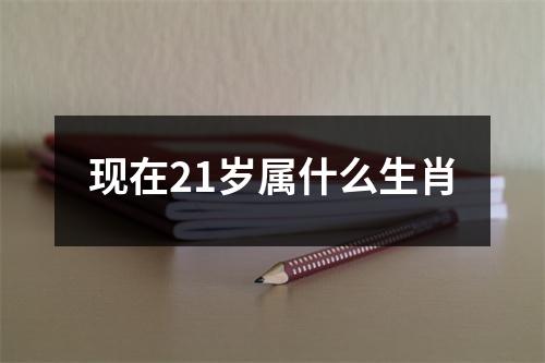 现在21岁属什么生肖