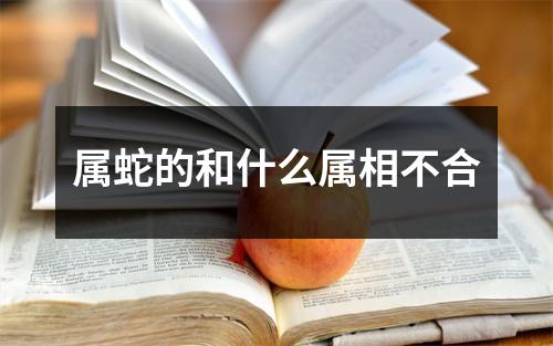 属蛇的和什么属相不合