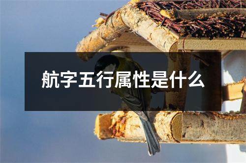 航字五行属性是什么