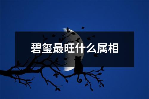 碧玺最旺什么属相