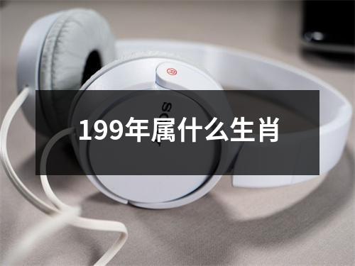 199年属什么生肖