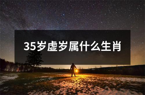 35岁虚岁属什么生肖