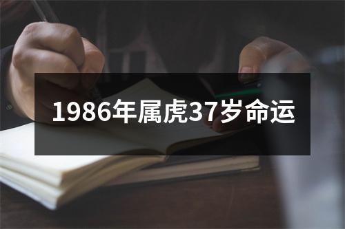 1986年属虎37岁命运