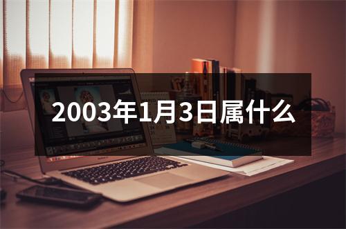 2003年1月3日属什么