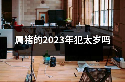 属猪的2023年犯太岁吗