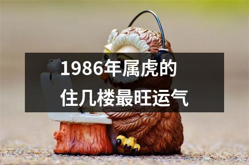 1986年属虎的住几楼最旺运气