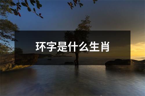 环字是什么生肖