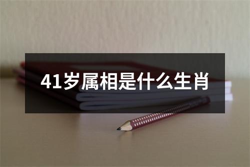 41岁属相是什么生肖