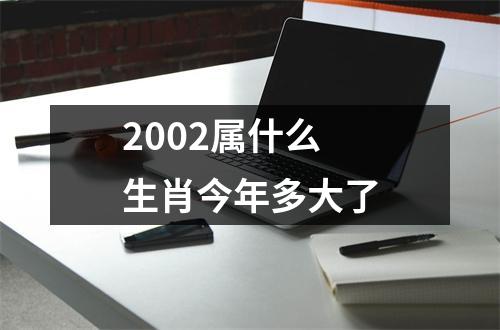 2002属什么生肖今年多大了