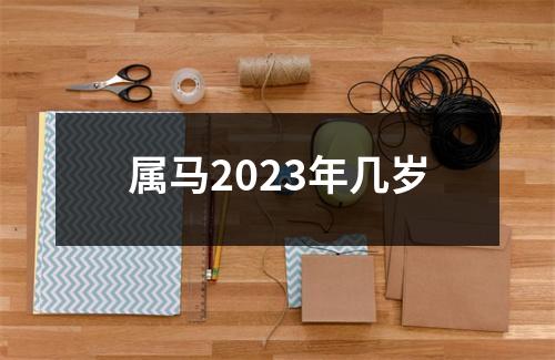 属马2023年几岁