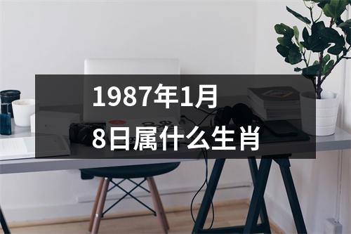 1987年1月8日属什么生肖