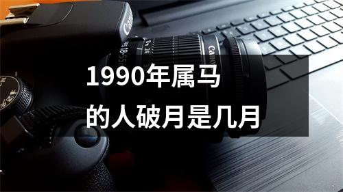 1990年属马的人破月是几月