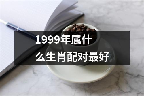 1999年属什么生肖配对最好