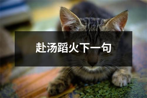 赴汤蹈火下一句