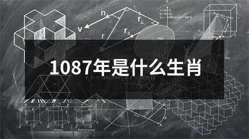 1087年是什么生肖