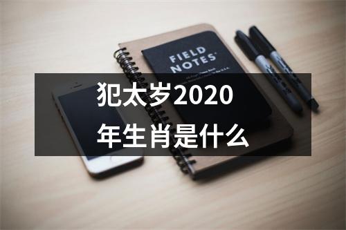 犯太岁2020年生肖是什么