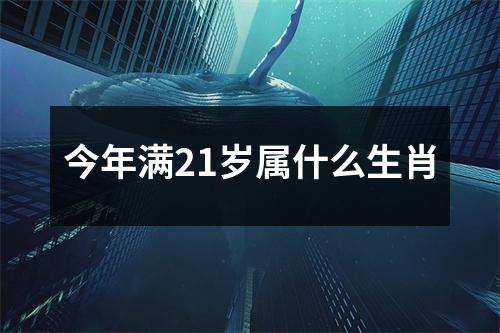 今年满21岁属什么生肖