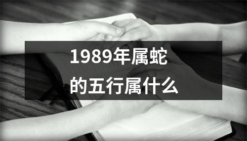 1989年属蛇的五行属什么