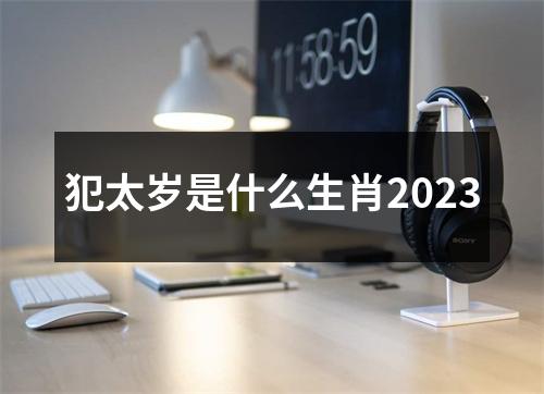 犯太岁是什么生肖2023