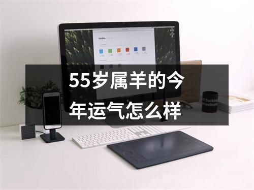 55岁属羊的今年运气怎么样