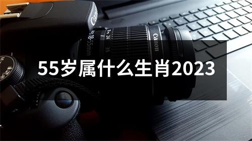 55岁属什么生肖2023