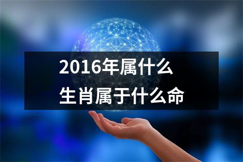 2016年属什么生肖属于什么命