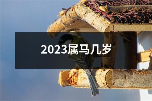 2023属马几岁