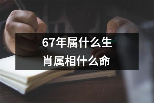 67年属什么生肖属相什么命