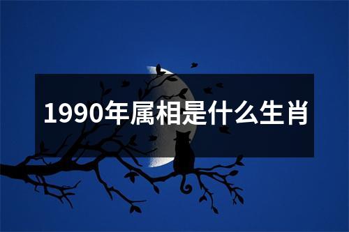 1990年属相是什么生肖