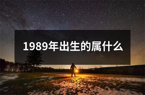 1989年出生的属什么