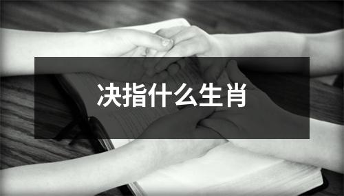 决指什么生肖