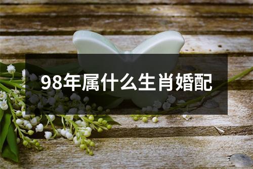 98年属什么生肖婚配