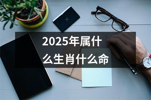 2025年属什么生肖什么命