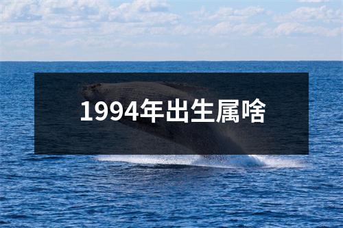 1994年出生属啥