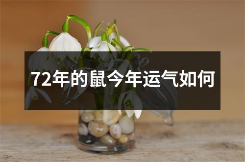 72年的鼠今年运气如何