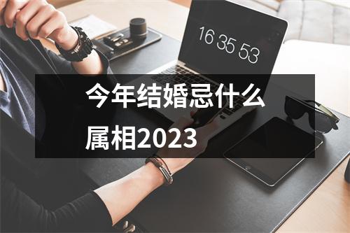 今年结婚忌什么属相2023